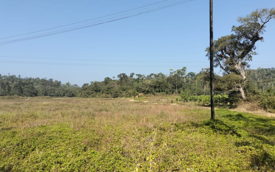 2 Acre Agriculture Property in Chikkamangaluru