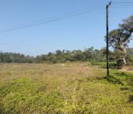 2 Acre Agriculture Property in Chikkamangaluru