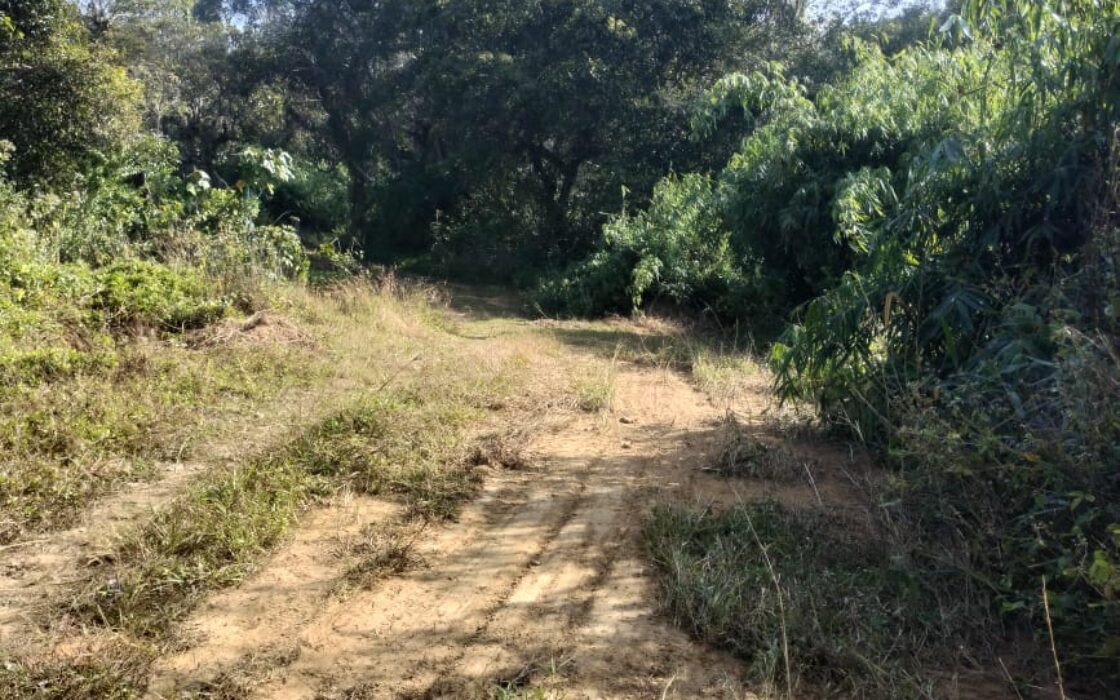 2 Acre Agriculture Property in Chikkamangaluru