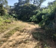 2 Acre Agriculture Property in Chikkamangaluru