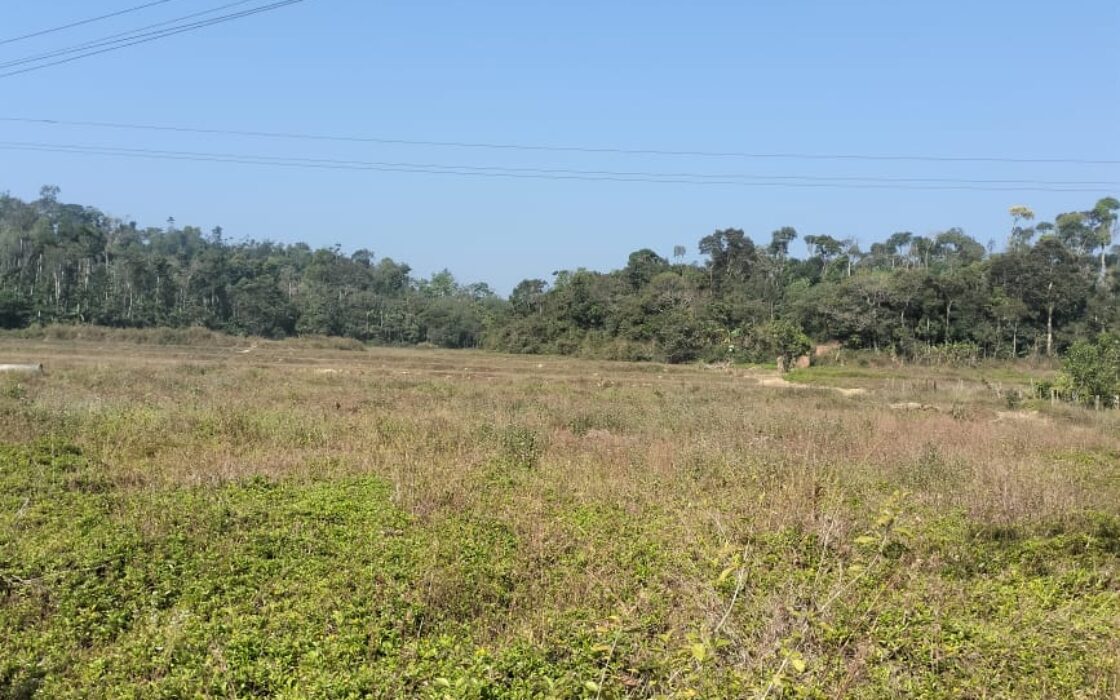2 Acre Agriculture Property in Chikkamangaluru
