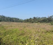 2 Acre Agriculture Property in Chikkamangaluru