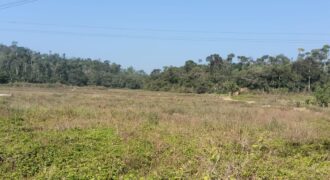 2 Acre Agriculture Property in Chikkamangaluru