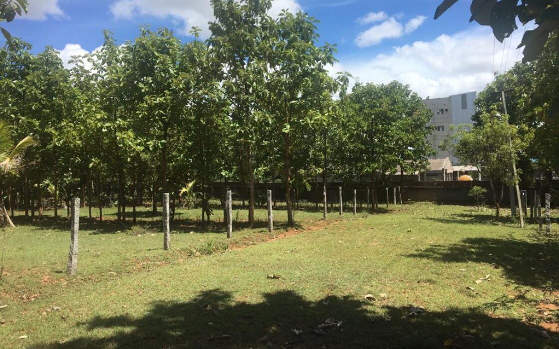 Agriculture & Farmhouse Property for sale at Nanjanagudu