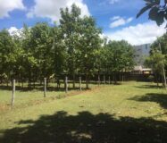 Agriculture & Farmhouse Property for sale at Nanjanagudu