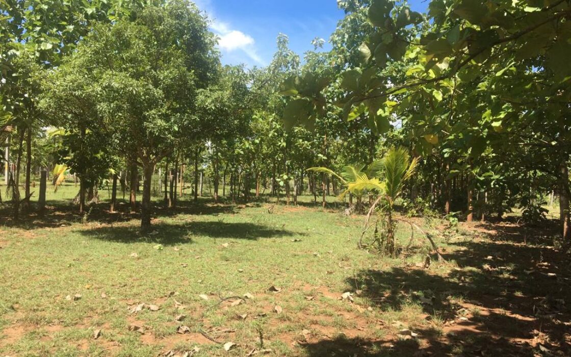 Agriculture & Farmhouse Property for sale at Nanjanagudu