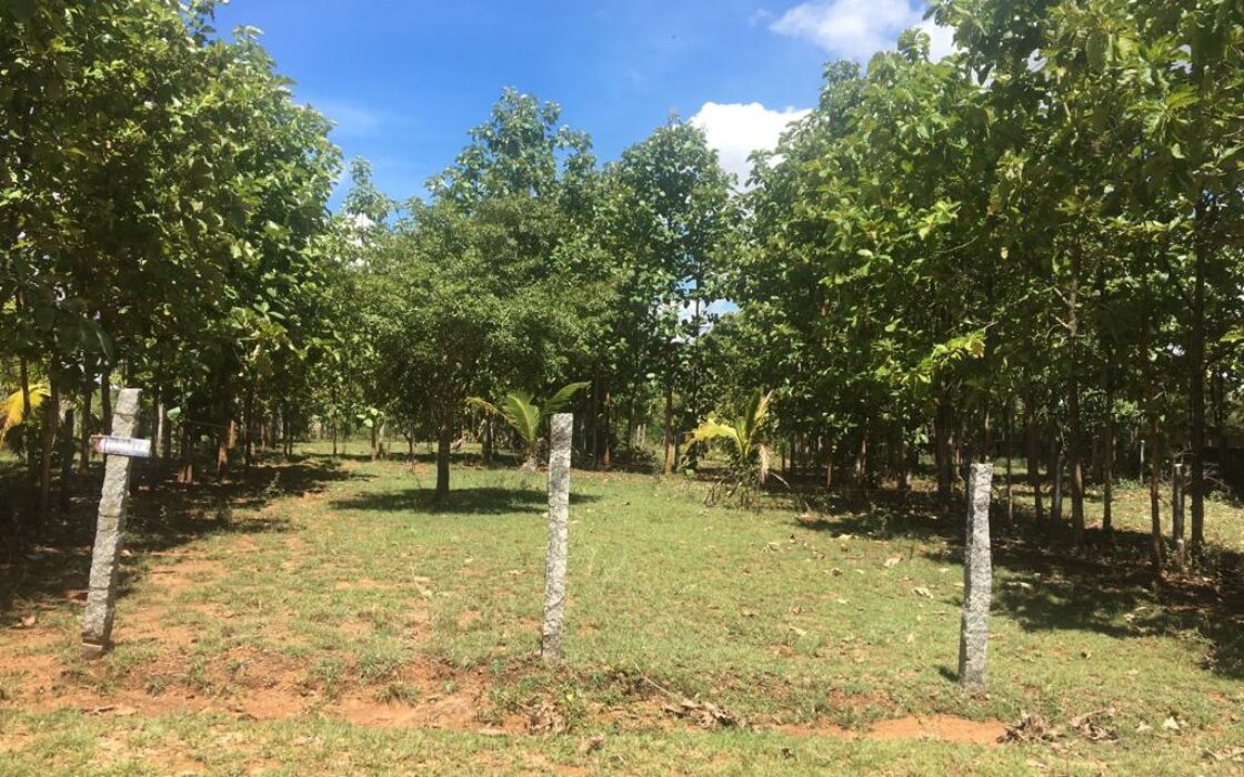 Agriculture & Farmhouse Property for sale at Nanjanagudu