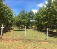 Agriculture & Farmhouse Property for sale at Nanjanagudu