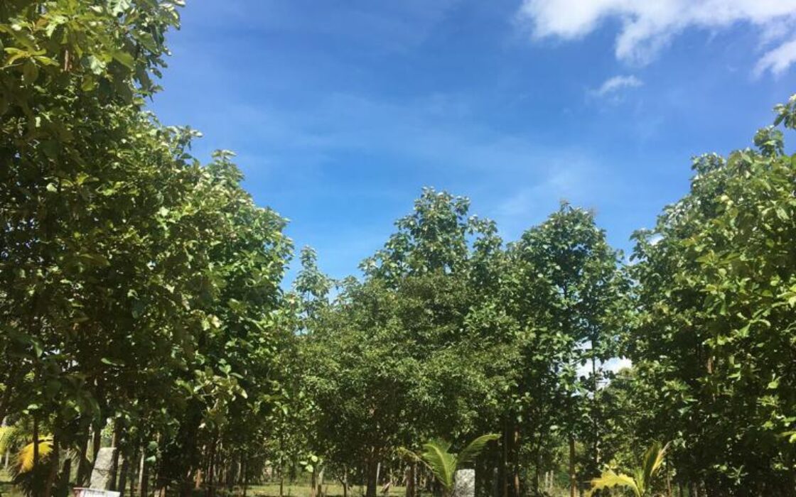 Agriculture & Farmhouse Property for sale at Nanjanagudu