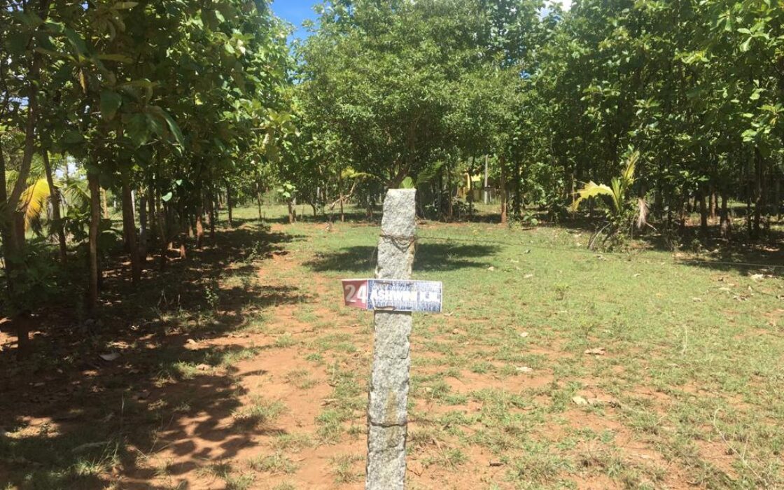 Agriculture & Farmhouse Property for sale at Nanjanagudu