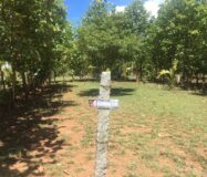 Agriculture & Farmhouse Property for sale at Nanjanagudu